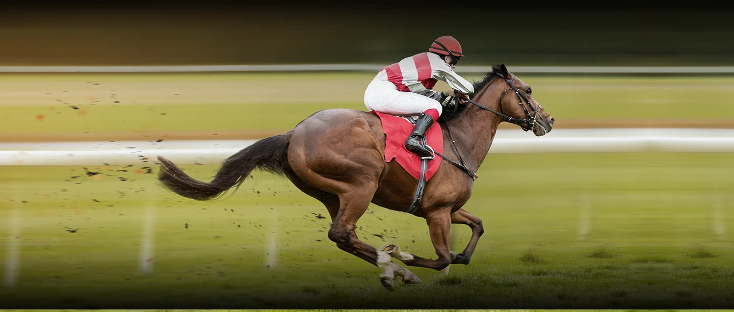 Horse racing API